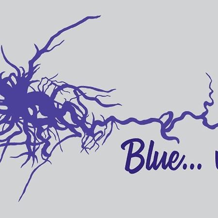 Blue...Violet Apartman Návplio Kültér fotó