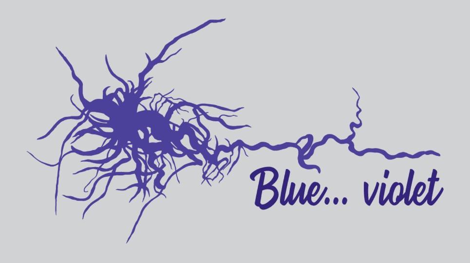 Blue...Violet Apartman Návplio Kültér fotó